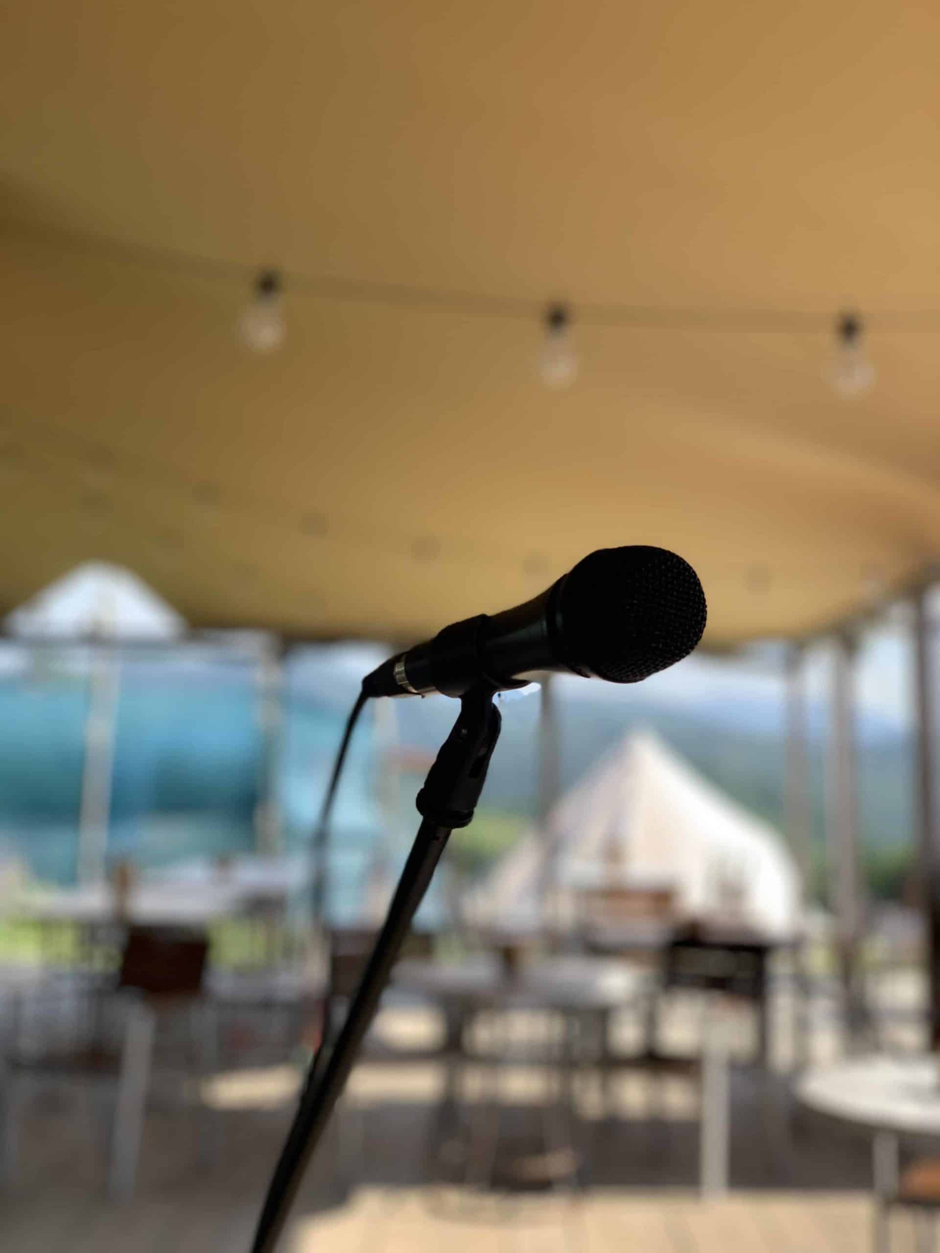 Concert live la Ursa Mică