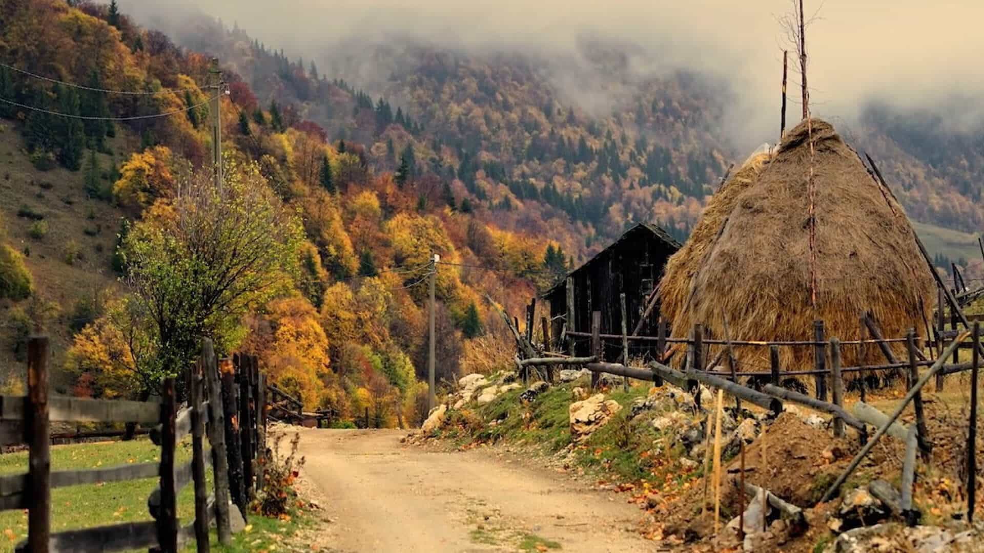 Satele Ciocanu și Șirnea