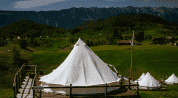 What to do in Romania Carpathian Ursa thumbnail
