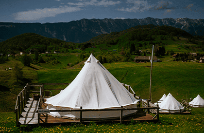 What to do in Romania Carpathian Ursa