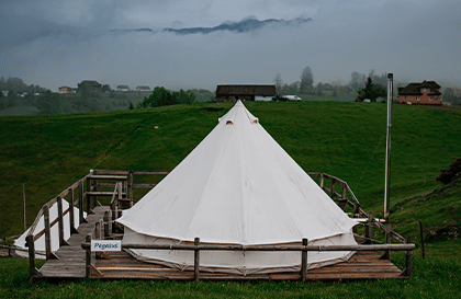 What to do in Romania Carpathian Ursa