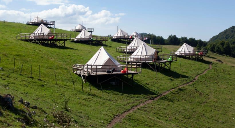 What to do in Romania Carpathian Ursa