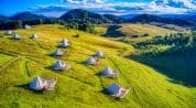 What to do in Romania Carpathian Ursa thumbnail