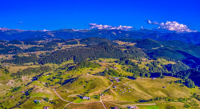 What to do in Romania Carpathian Ursa