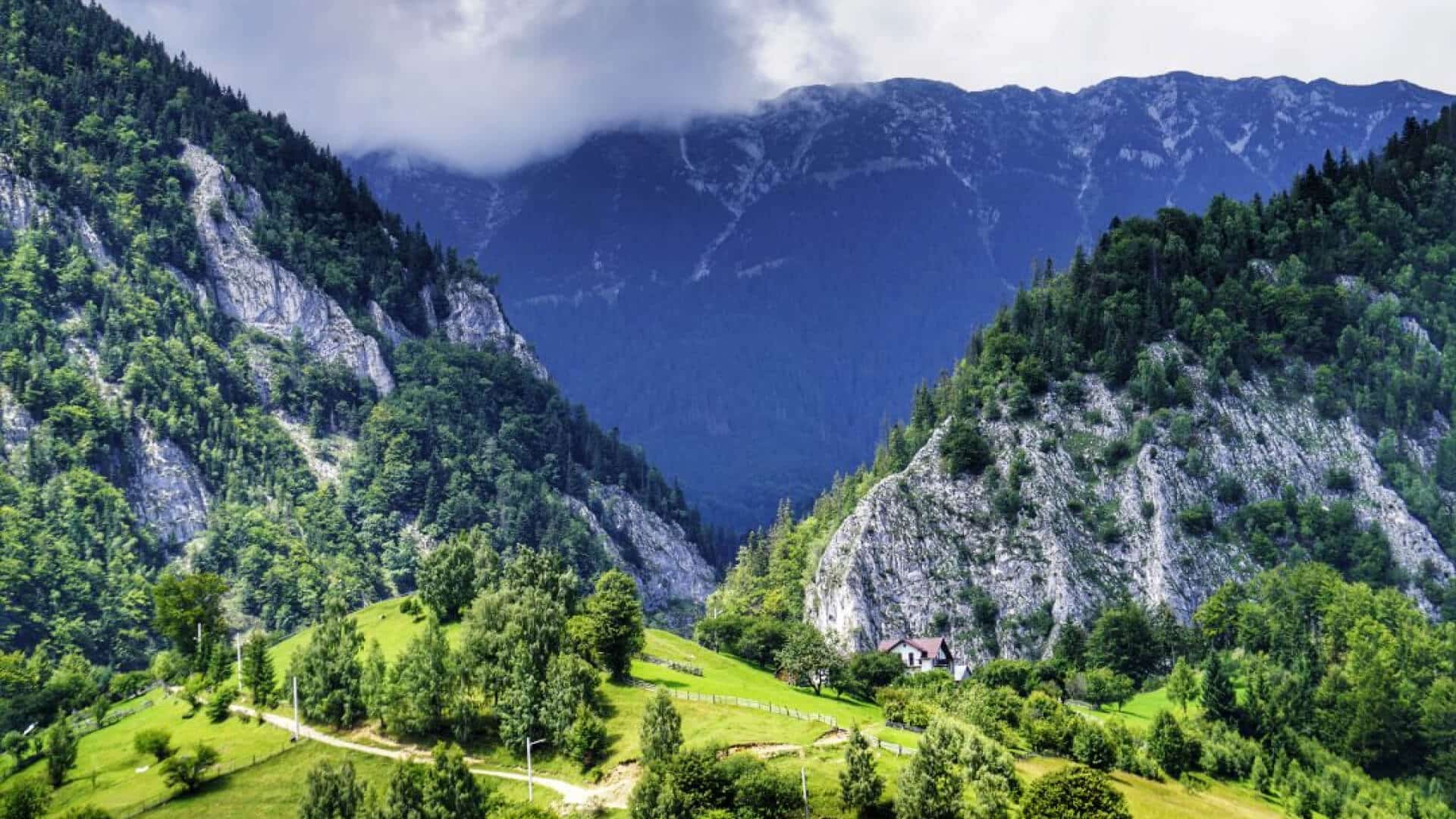 Satul Măgura