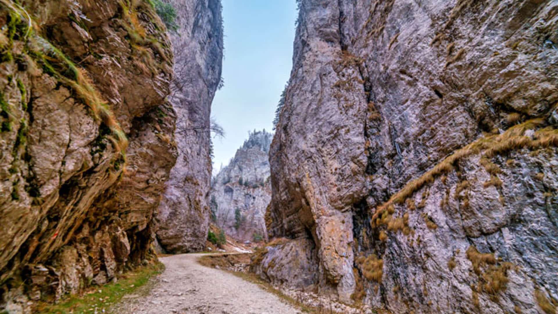 Cheiurile Zărneștiului