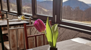 Restaurant thumbnail