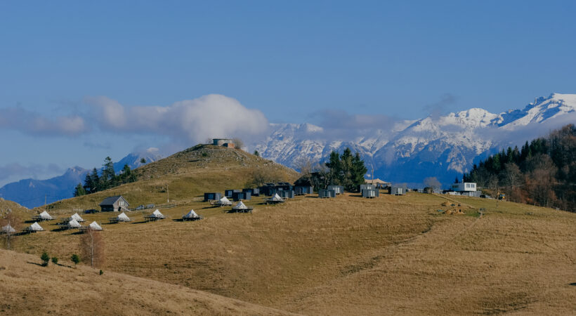 PERSEIDE Celestial Experience | SHOW LIVE în stil Mediteranean, Middle East și Asiatic cu CHEF Andrei Zaiț|CONCERT LIVE  Tango și Blues